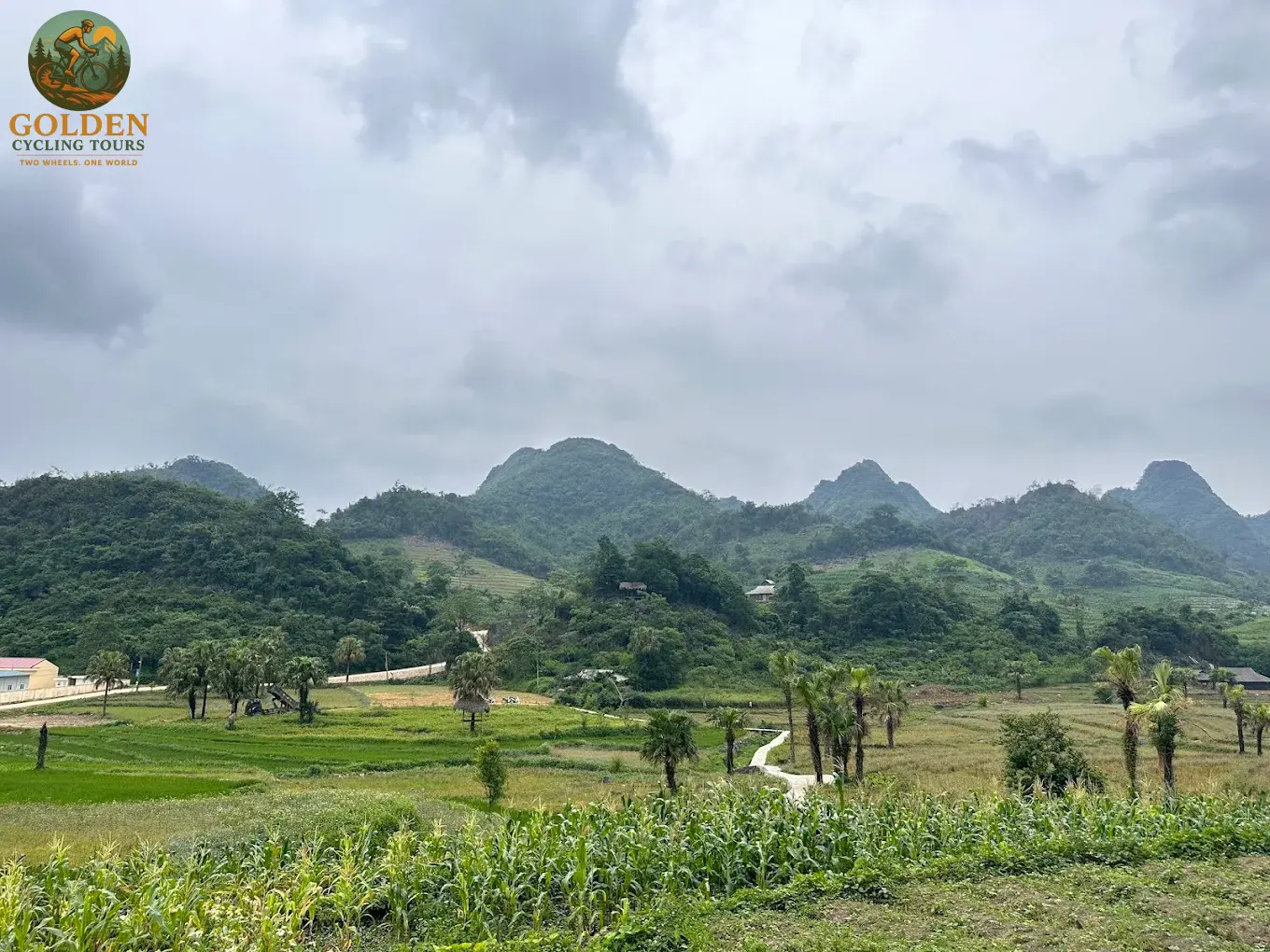 3-Day Thai Nguyen Backroad Cycling Tour: Ban Ten, Tea Hills & Nui Coc